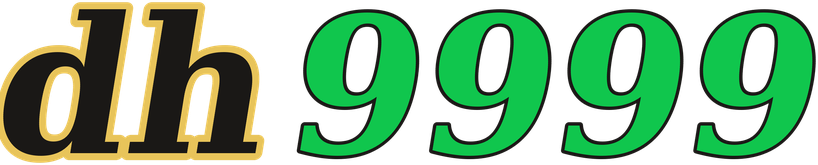 dh9999 logo